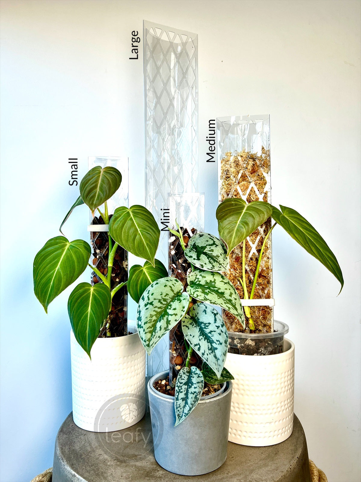 indoor plant moss pole leafy™ Moss Pole 2.0 Diamond