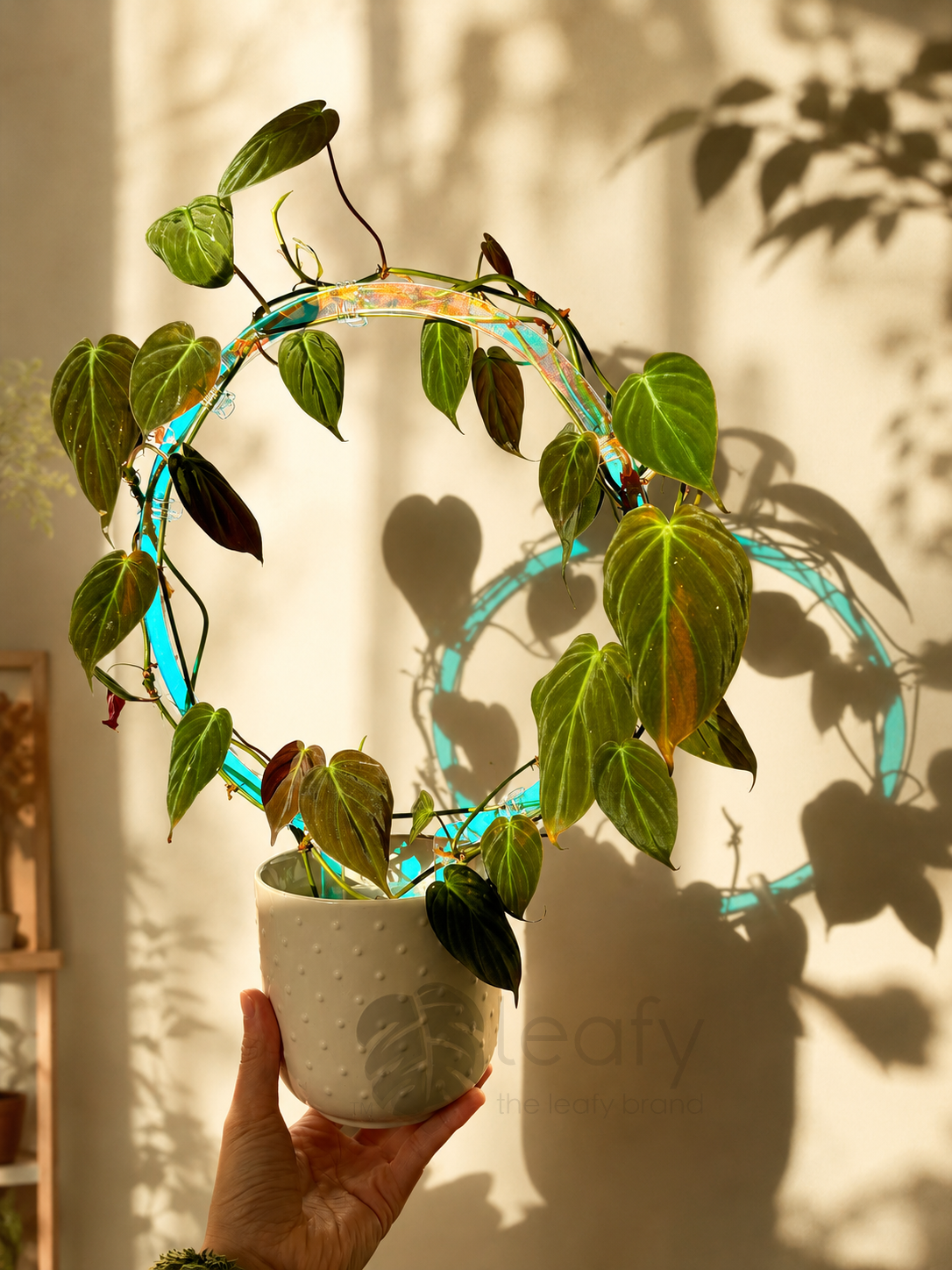 leafy™ Acrylic Round Trellis