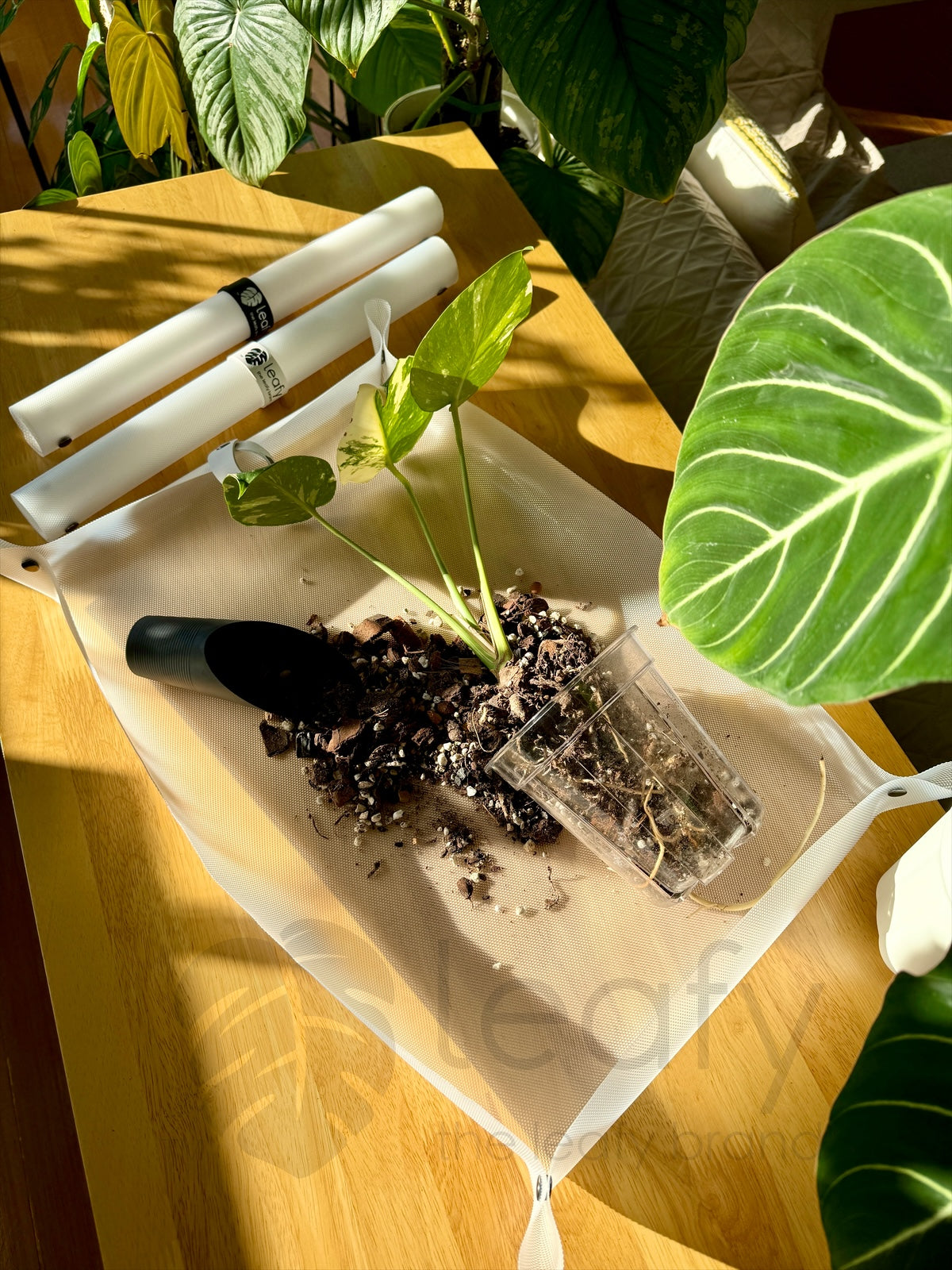 indoor plant mats leafy™ Potting Mat