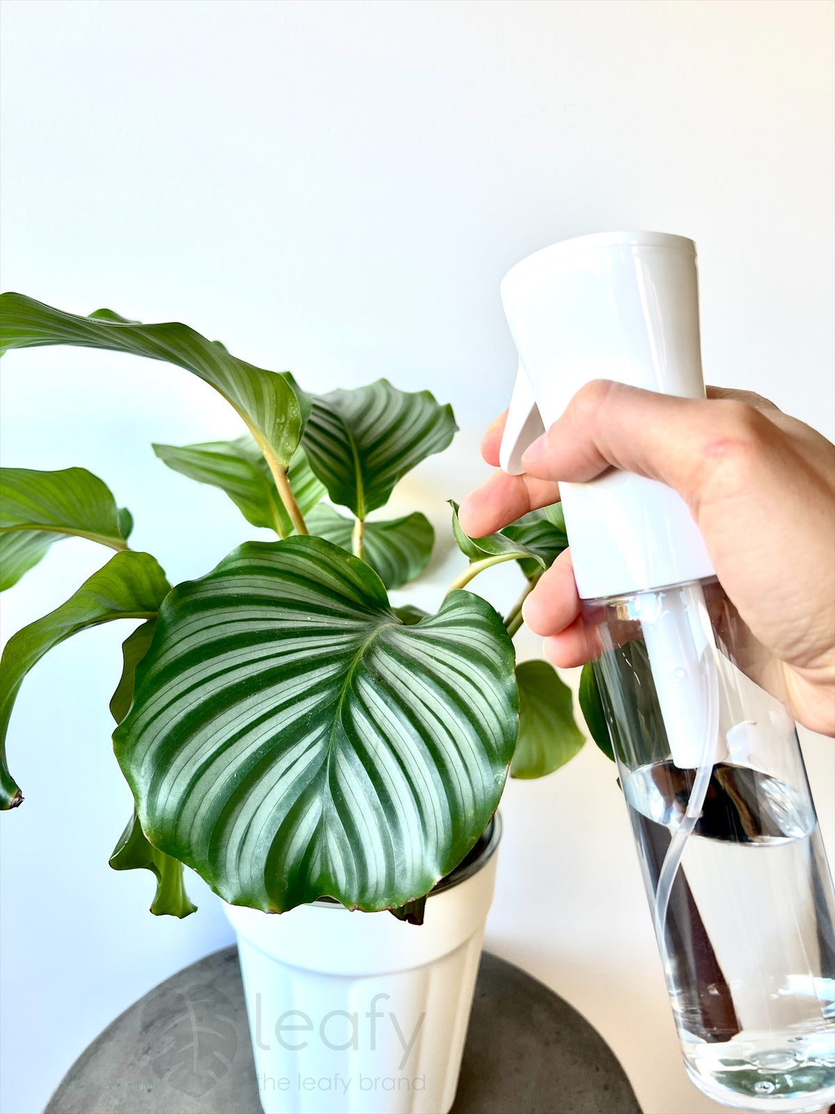 Flairosol Ultra Fine Mist Continuous Spray Bottle