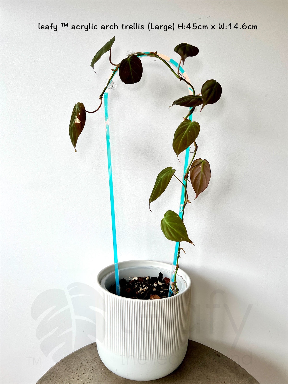 leafy ™ acrylic arch trellis (Large)