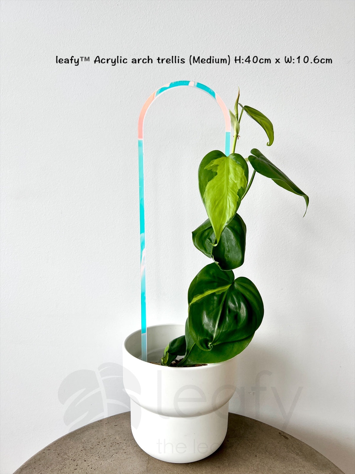 leafy ™ acrylic arch trellis (Medium)