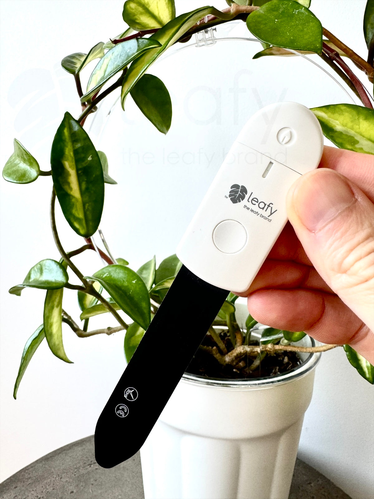 Mini moisture detector