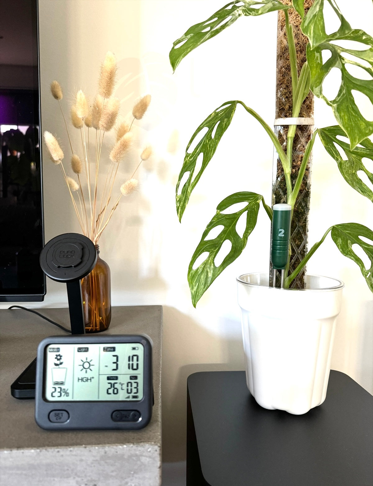 Wireless soil moisture meter