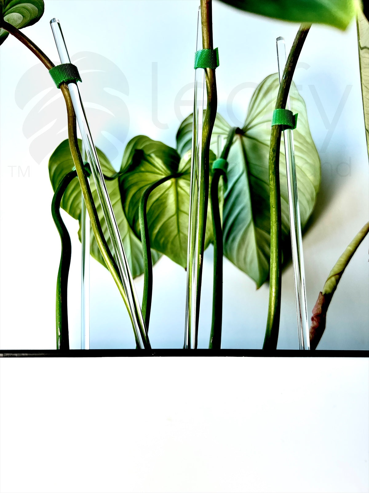 leafy™ Acrylic plant stakes