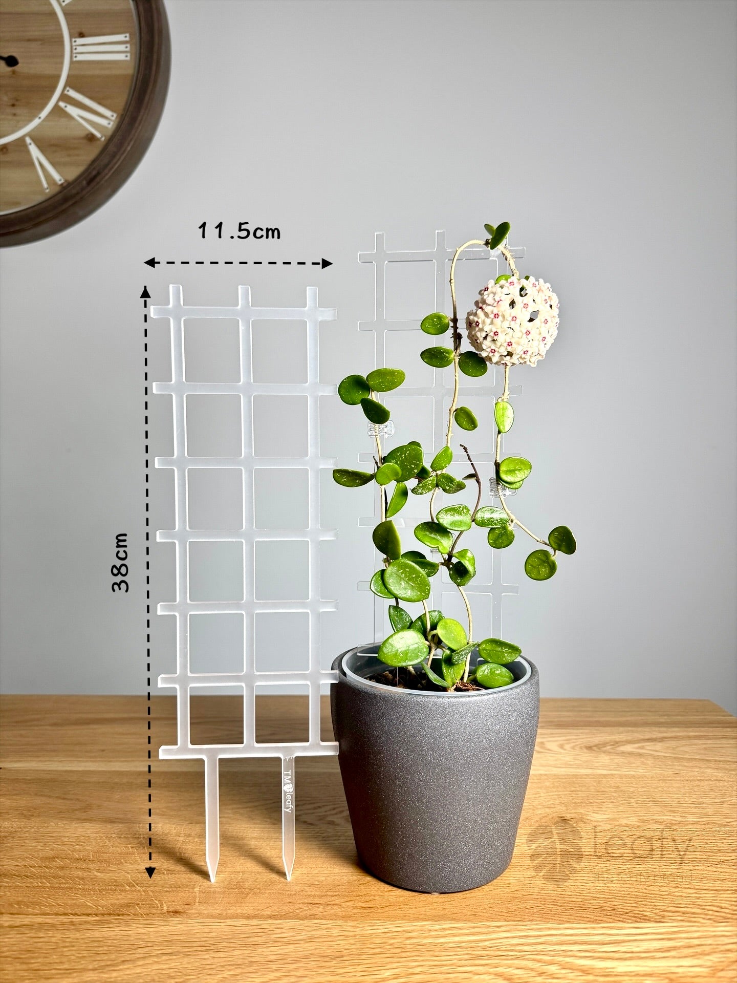 leafy™ Acrylic Grid Trellis