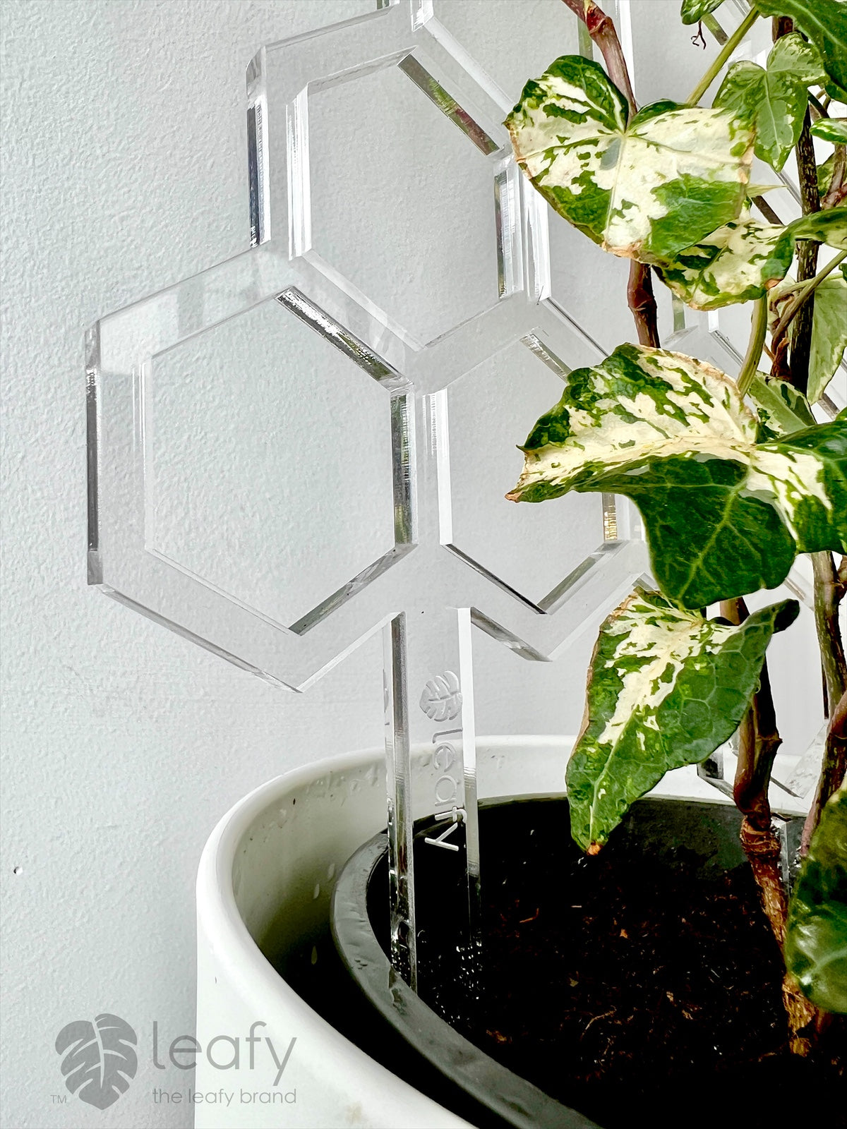 leafy™ Honeycomb Trellis