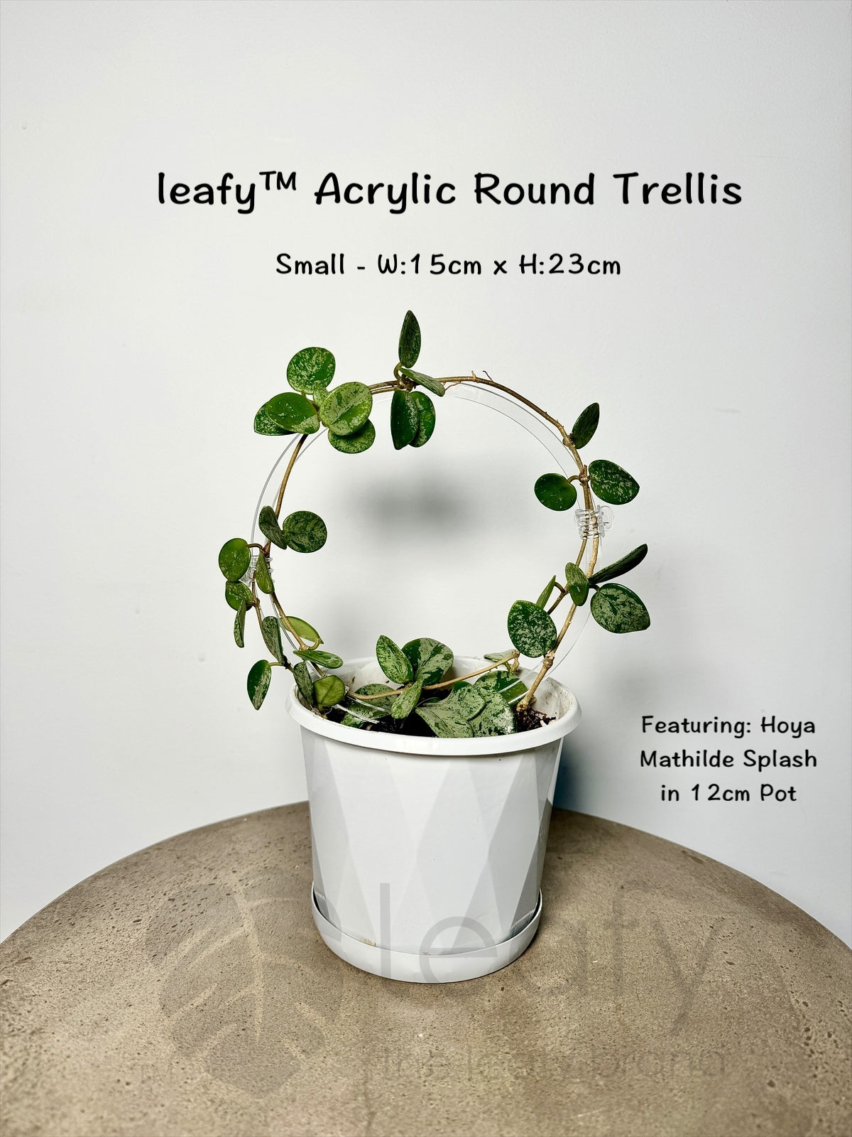leafy™ Acrylic Round Trellis