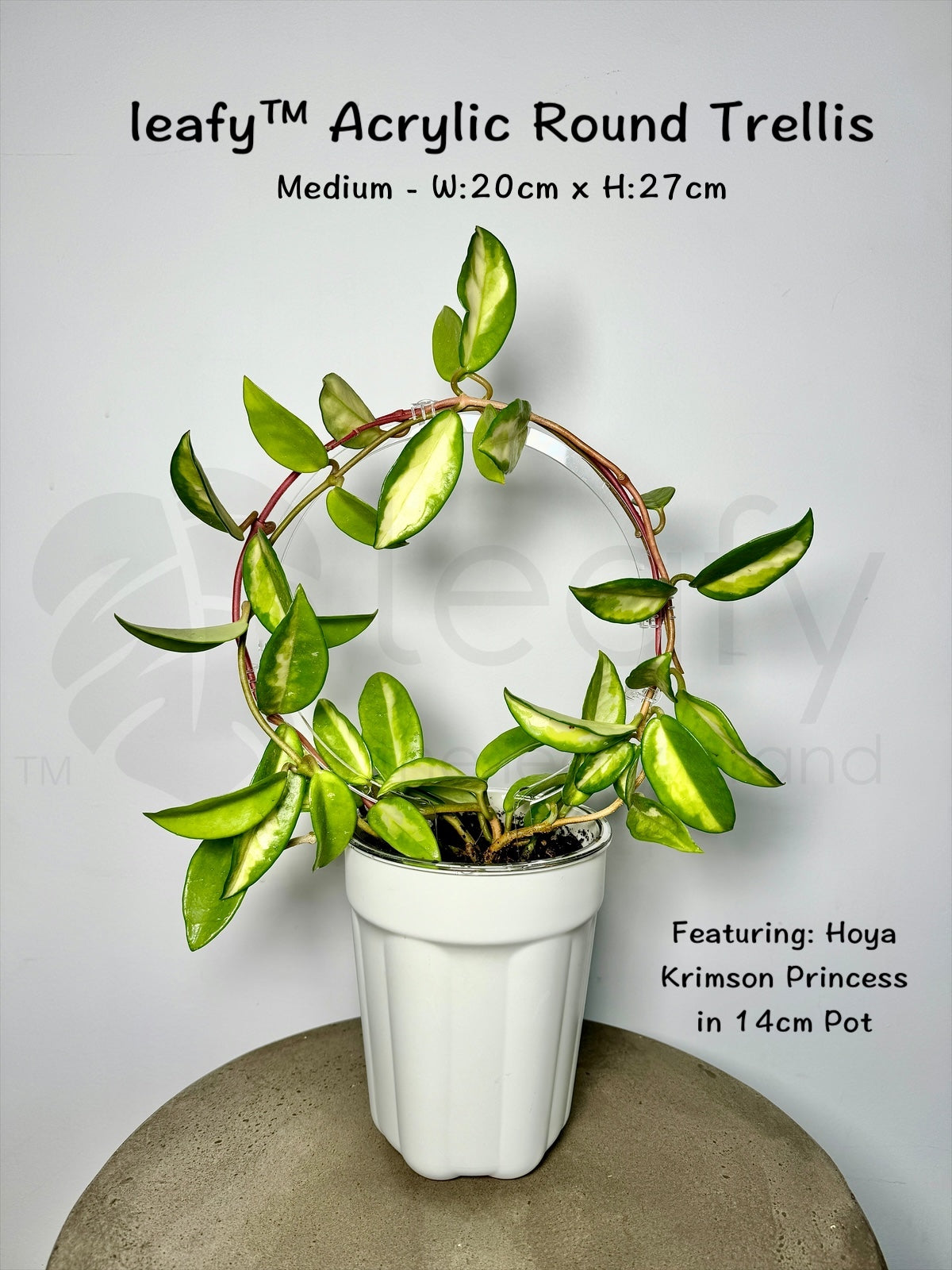 Leafy Acrylic round trellis