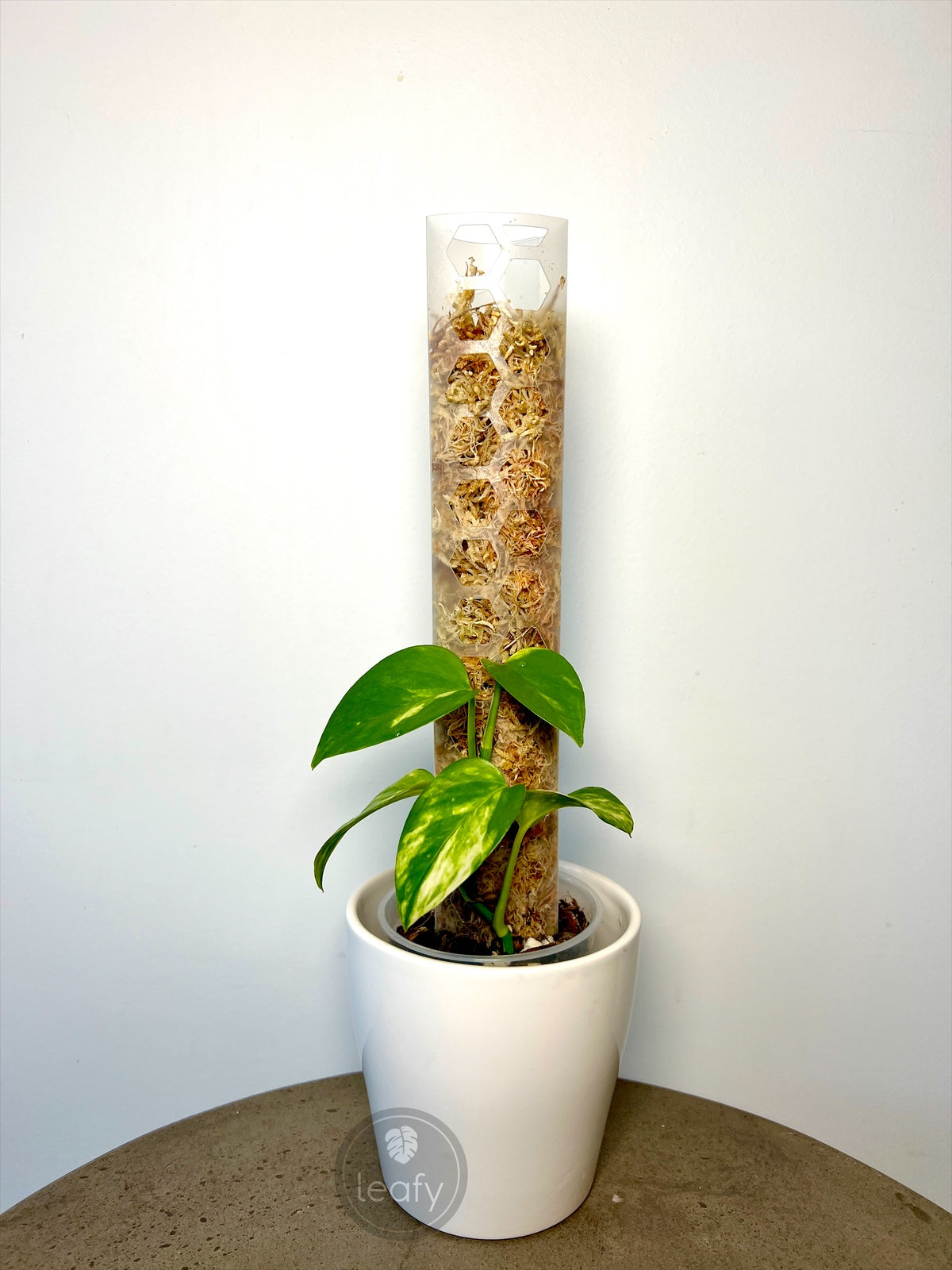 leafy™ Moss Pole 2.0 Honeycomb Mini