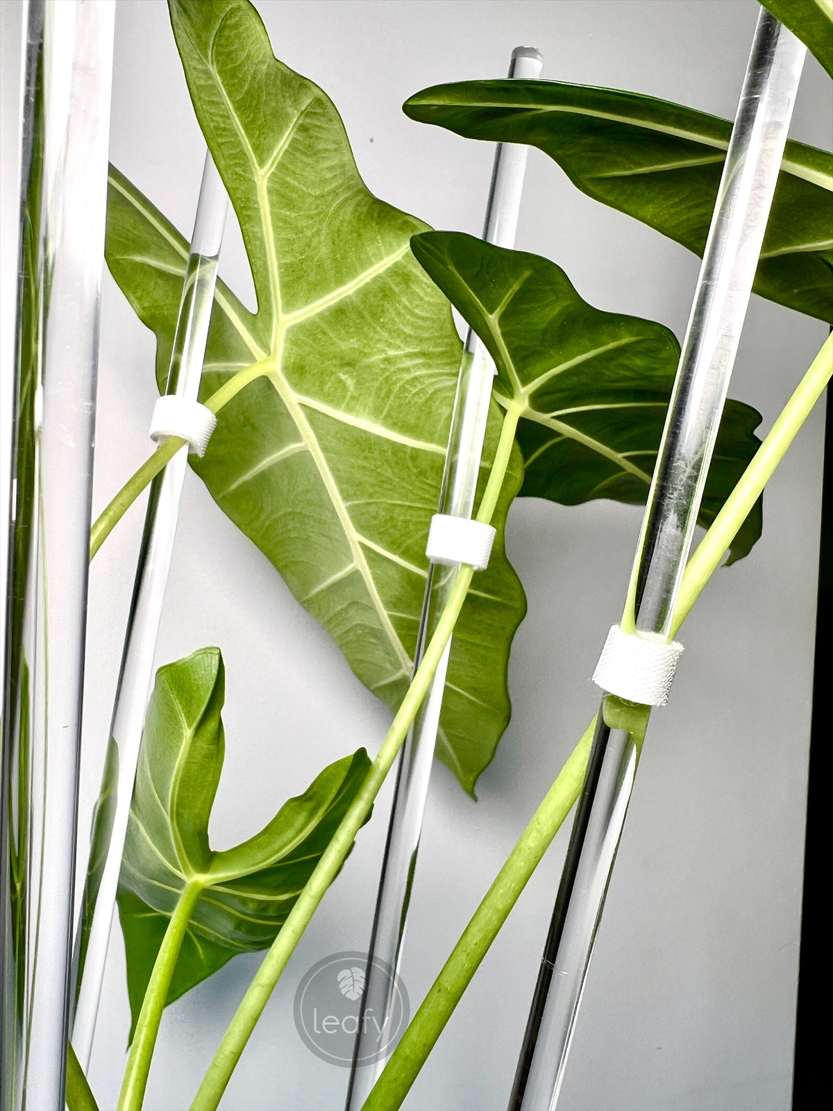 leafy™ Plant Tie