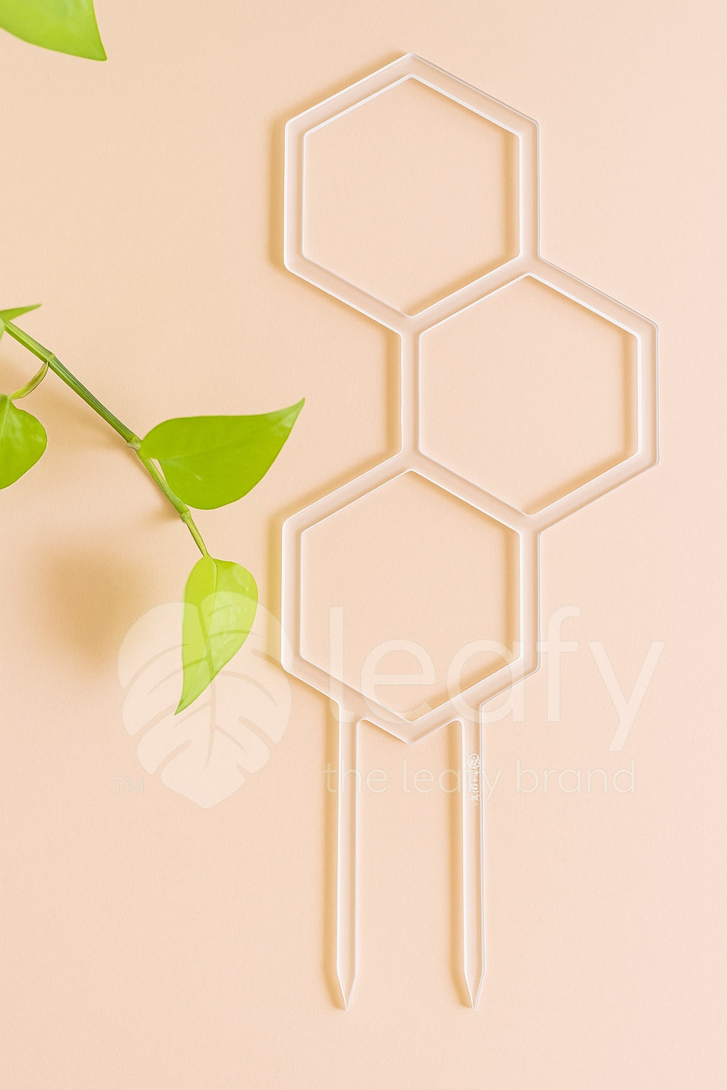 leafy™ Honeycomb Trellis - Type II