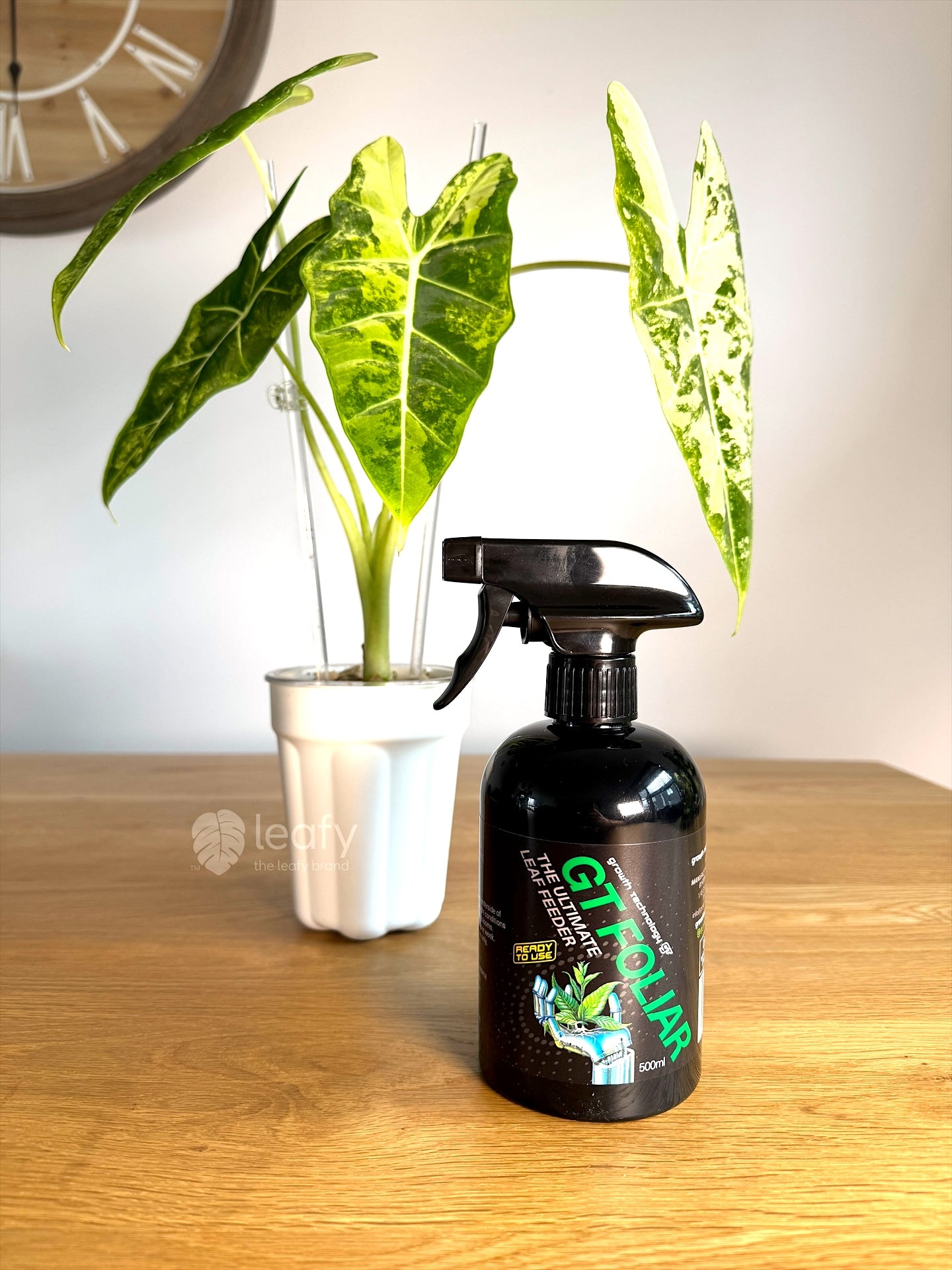 GT - Foliar Spray