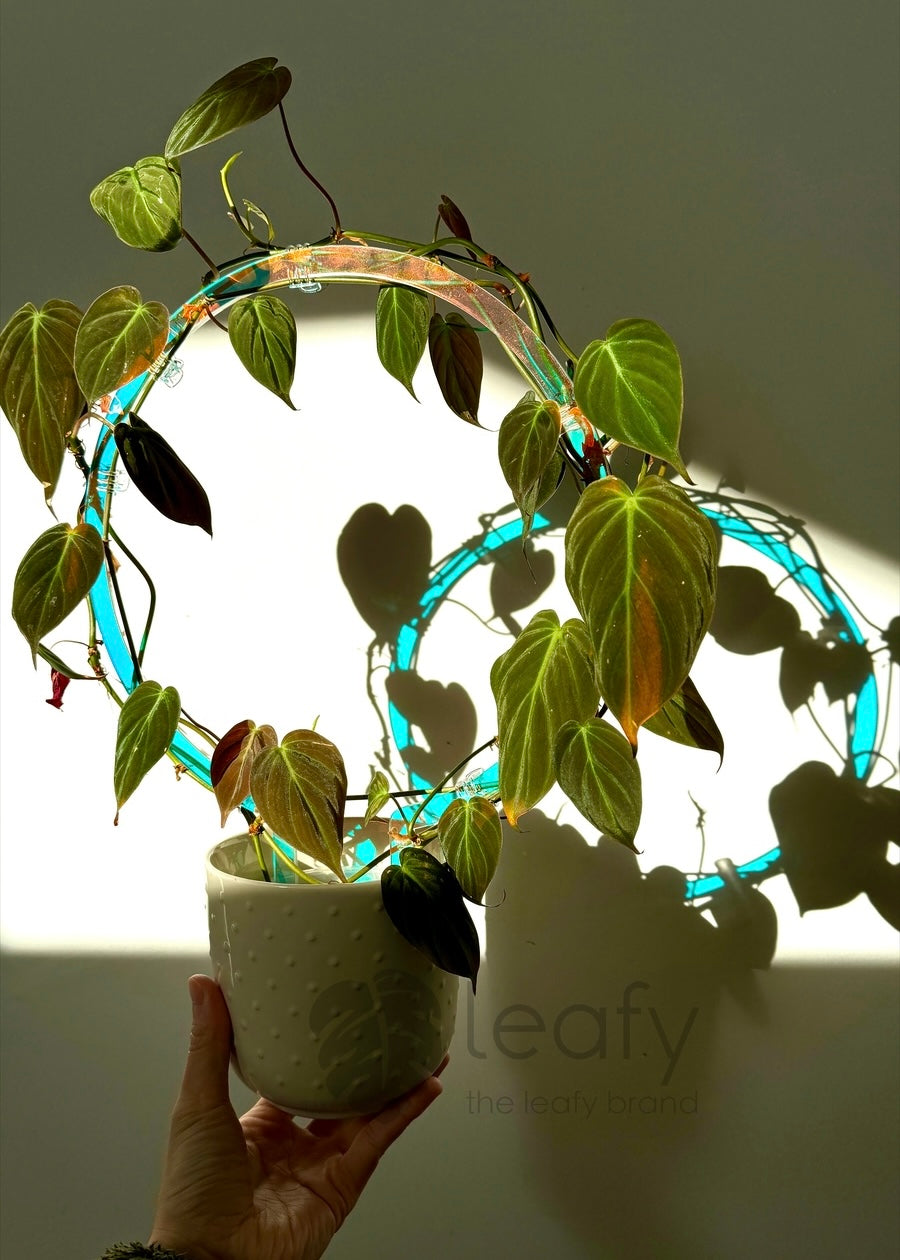 leafy™ Acrylic Round Trellis