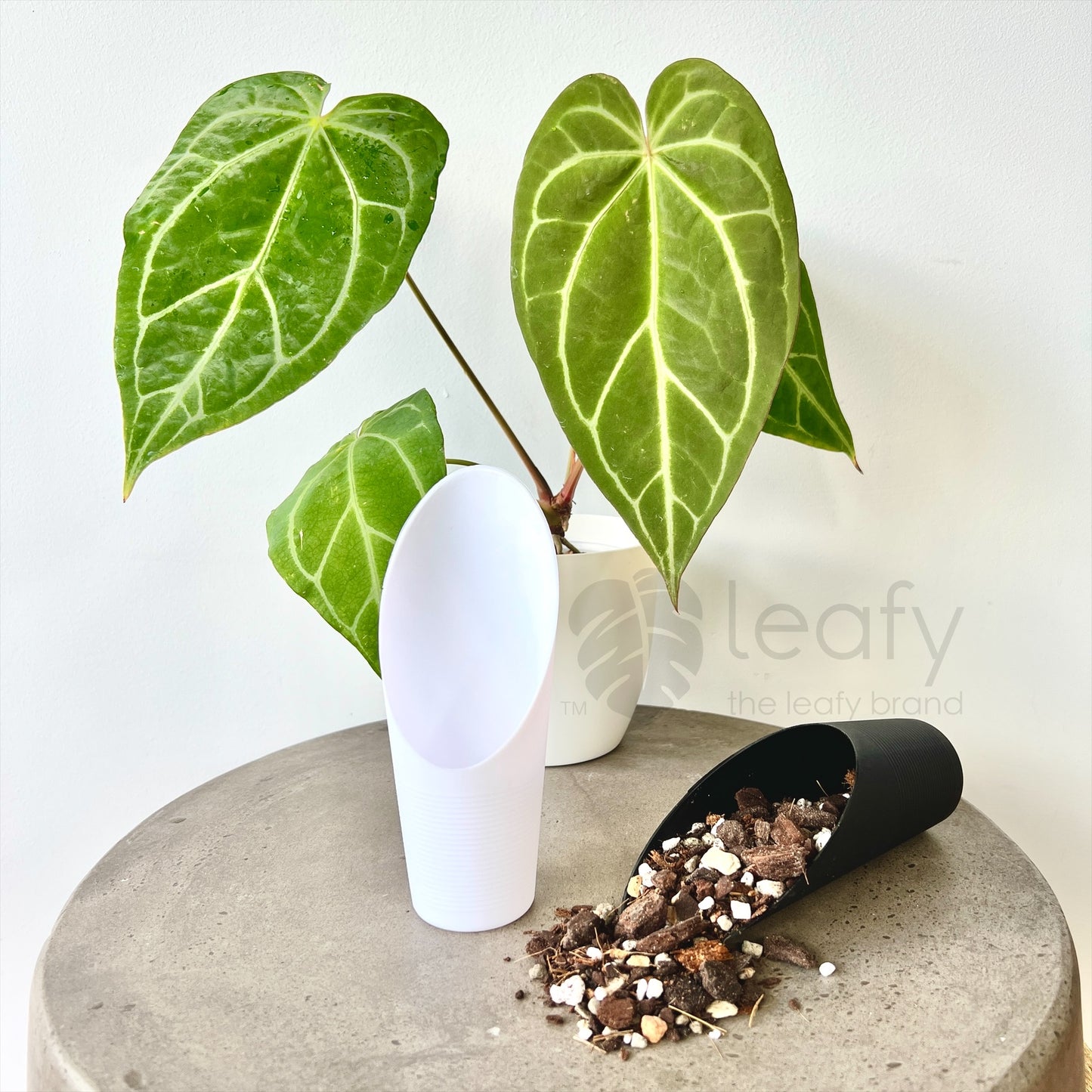 Bucket shovel soil scoop