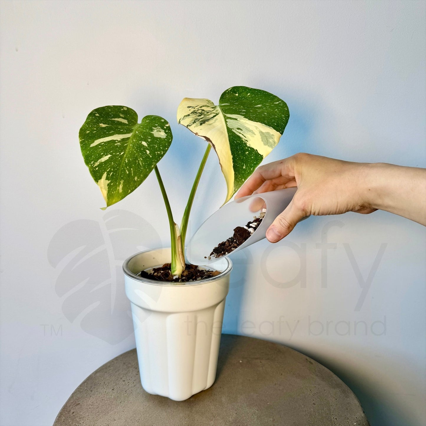 Bucket shovel soil scoop