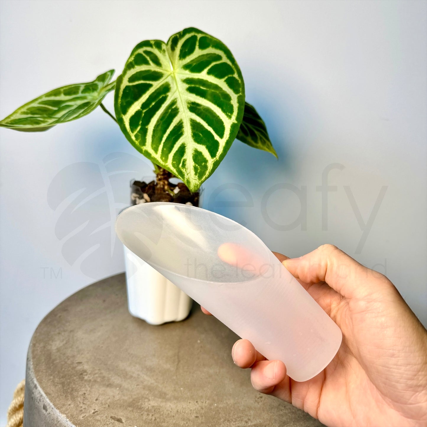 Bucket shovel soil scoop