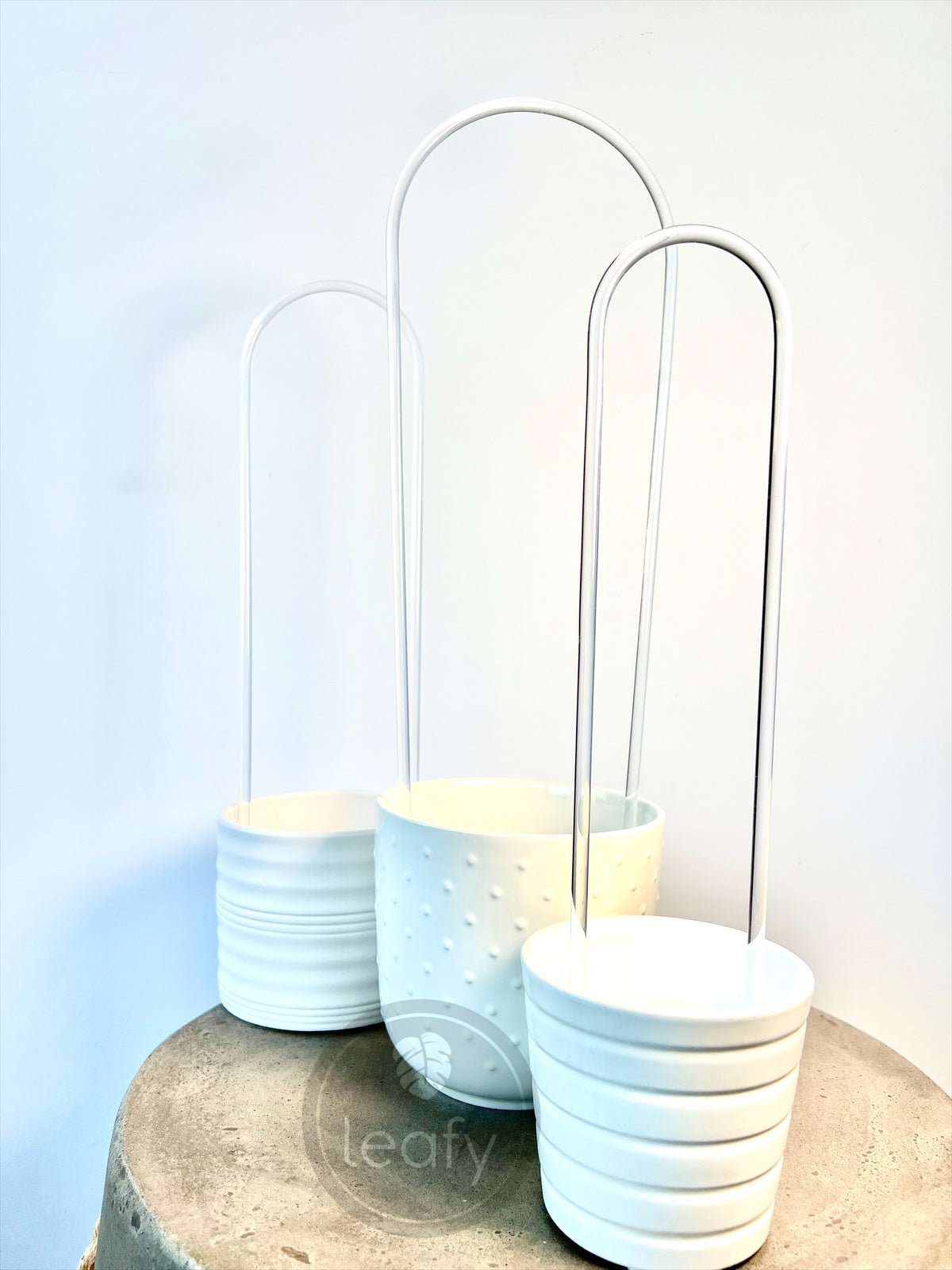 U shape trellis in pot