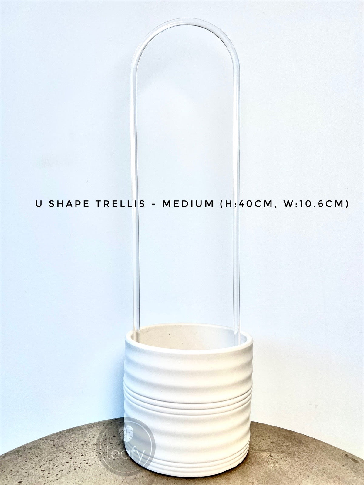U shape Trellis Medium