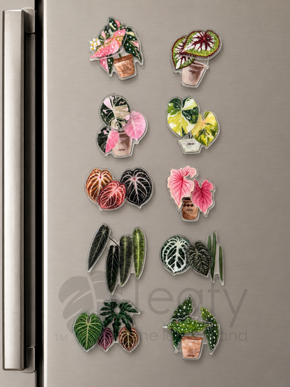 The Spinning Leaf Collection Fridge Magnets