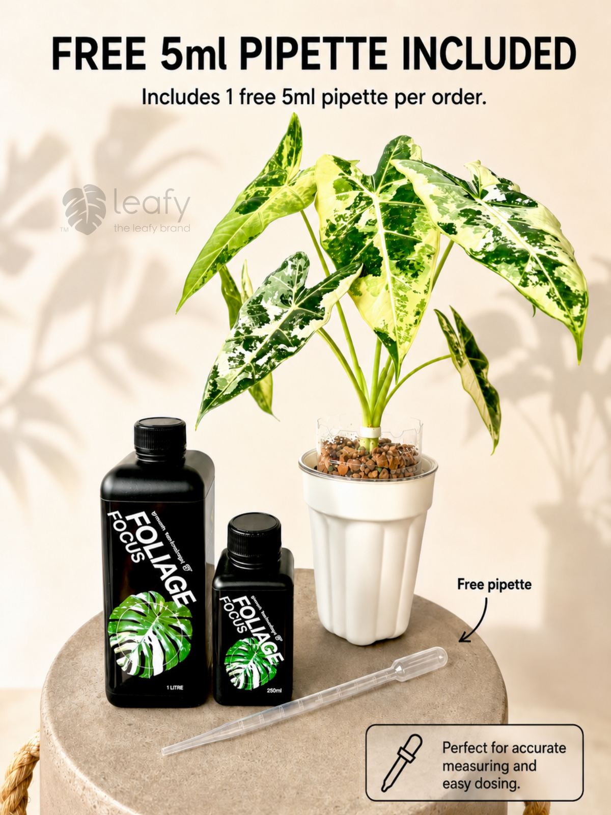 GT- Foliage Focus