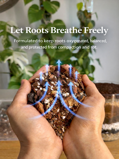 leafy™ Aroid 001 special Mix