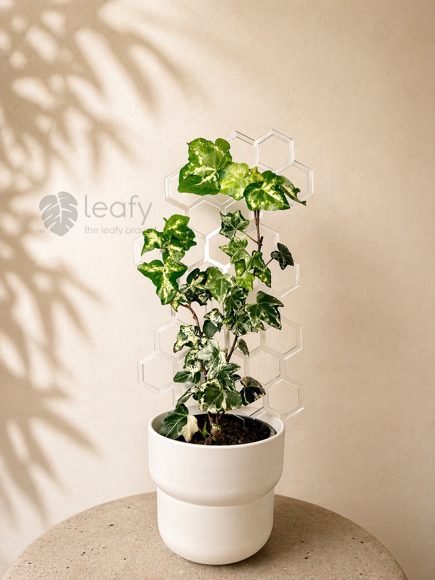 leafy™ Honeycomb Trellis