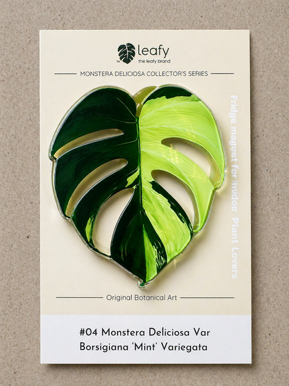 Monstera Deliciosa Collector’s Series Fridge Magnets