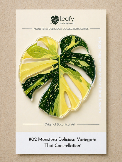 Monstera Deliciosa Collector’s Series Fridge Magnets