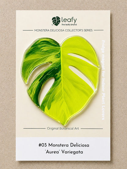 Monstera Deliciosa Collector’s Series Fridge Magnets
