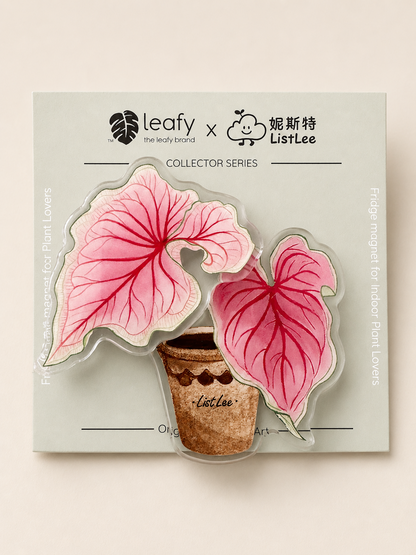 The Spinning Leaf Collection Fridge Magnets