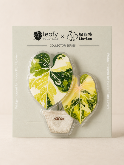 The Spinning Leaf Collection Fridge Magnets