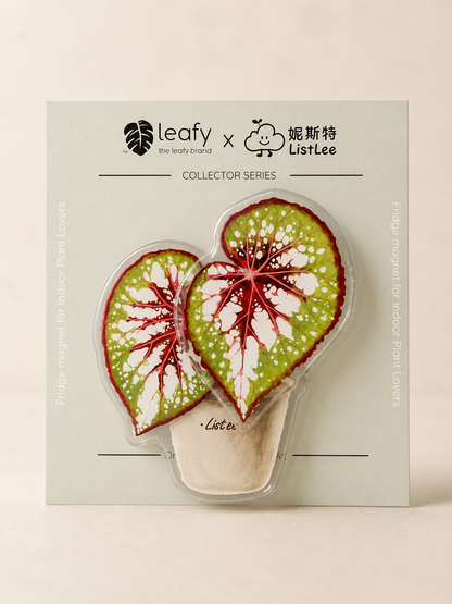 The Spinning Leaf Collection Fridge Magnets