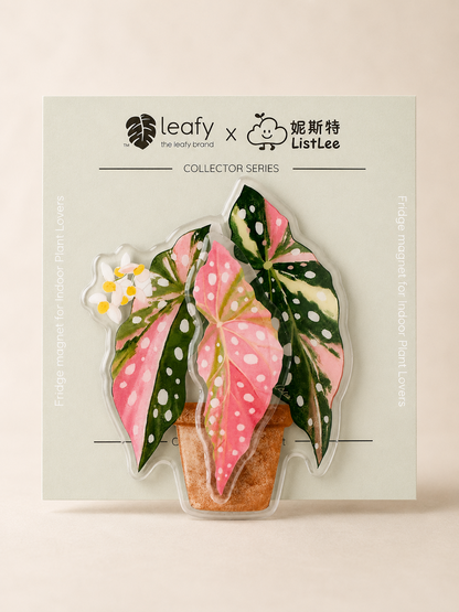 The Spinning Leaf Collection Fridge Magnets