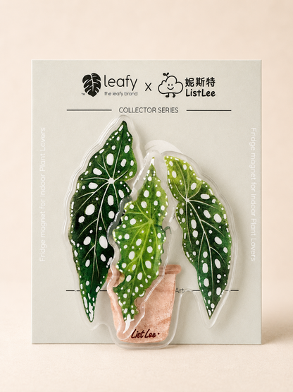 The Spinning Leaf Collection Fridge Magnets