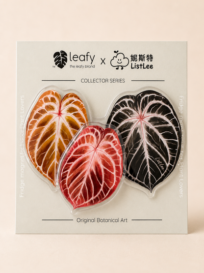 The Spinning Leaf Collection Fridge Magnets