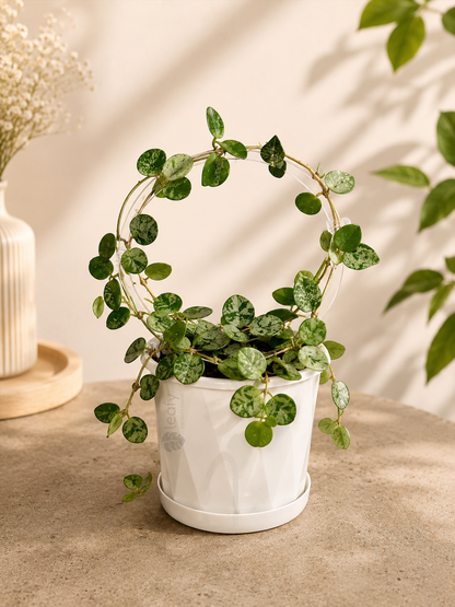 leafy™ Acrylic Round Trellis