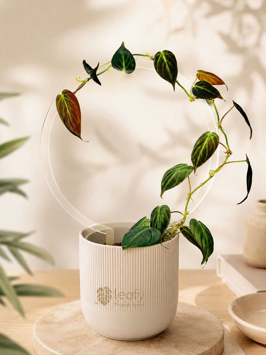 leafy™ Acrylic Round Trellis