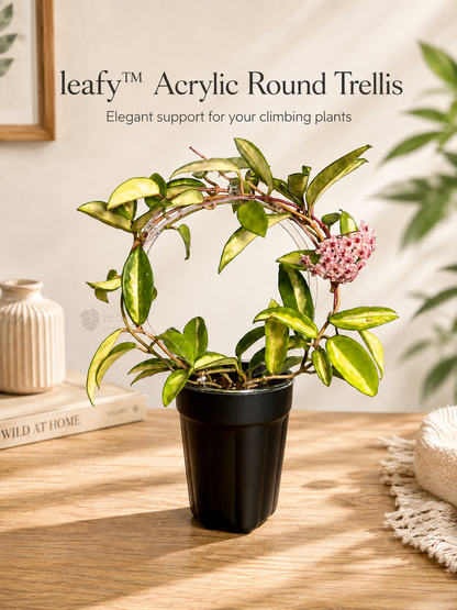leafy™ Acrylic Round Trellis