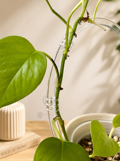 leafy™ Acrylic Round Trellis