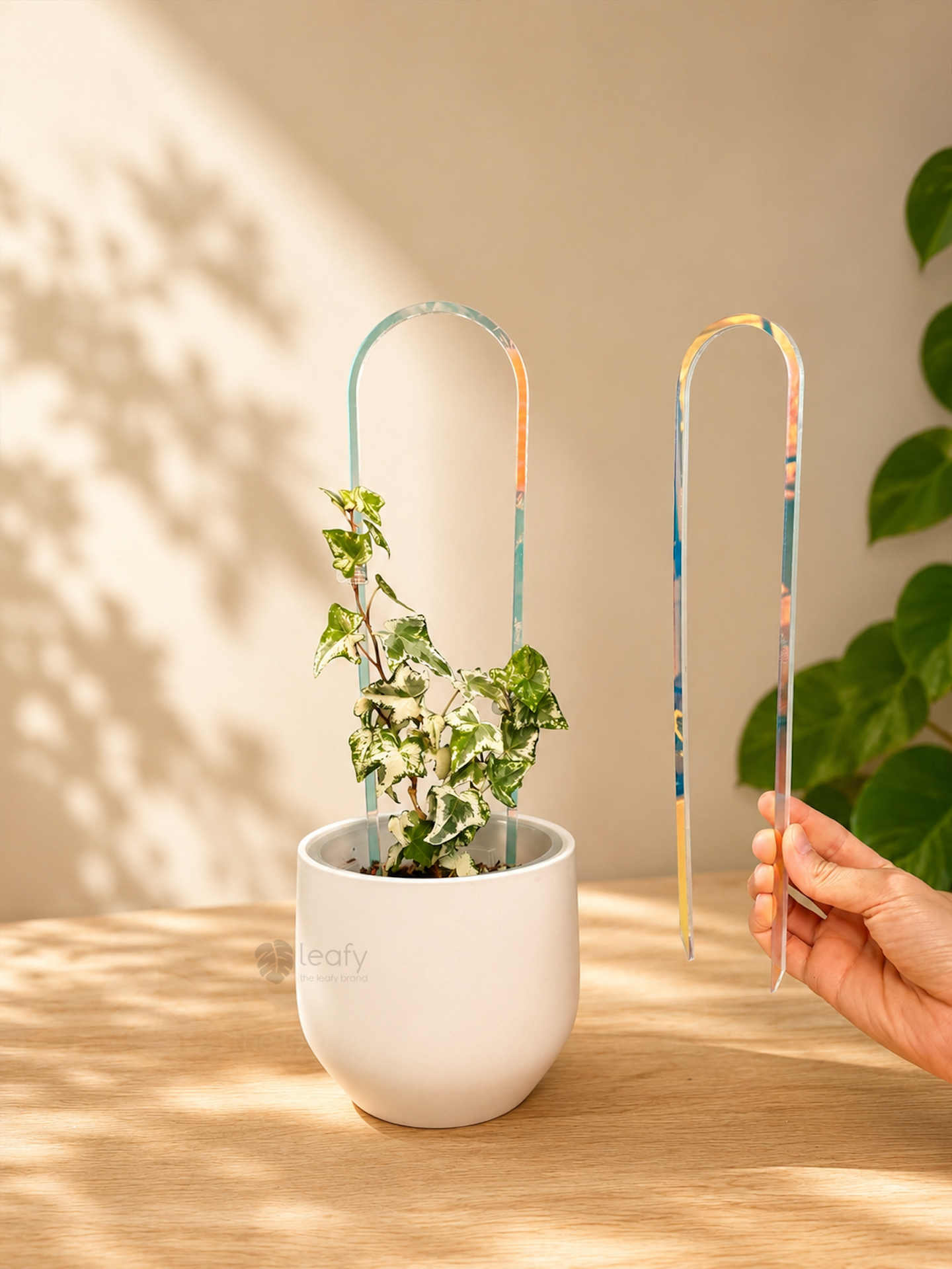 leafy™ Acrylic arch trellis