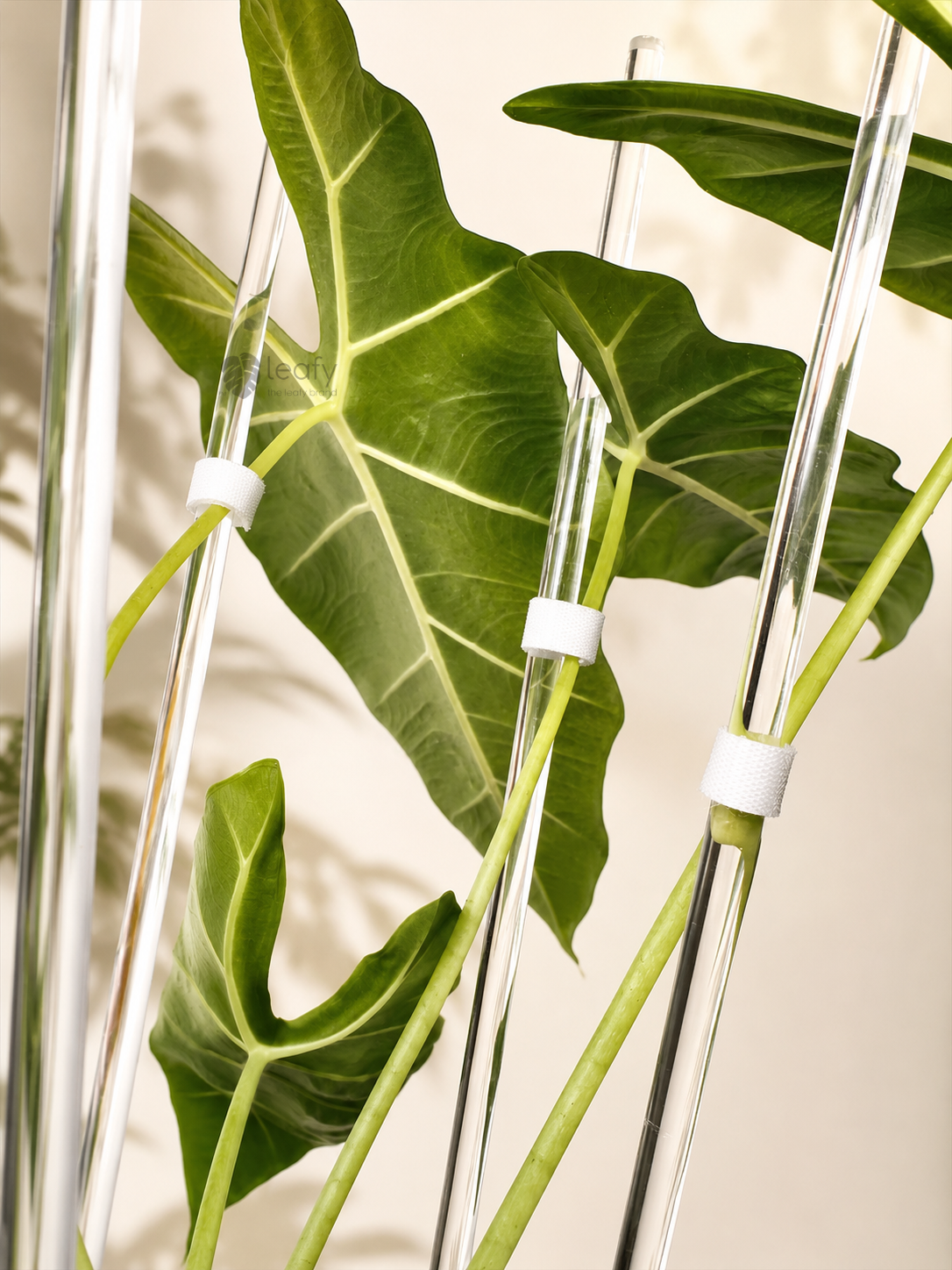 leafy™ Plant Tie