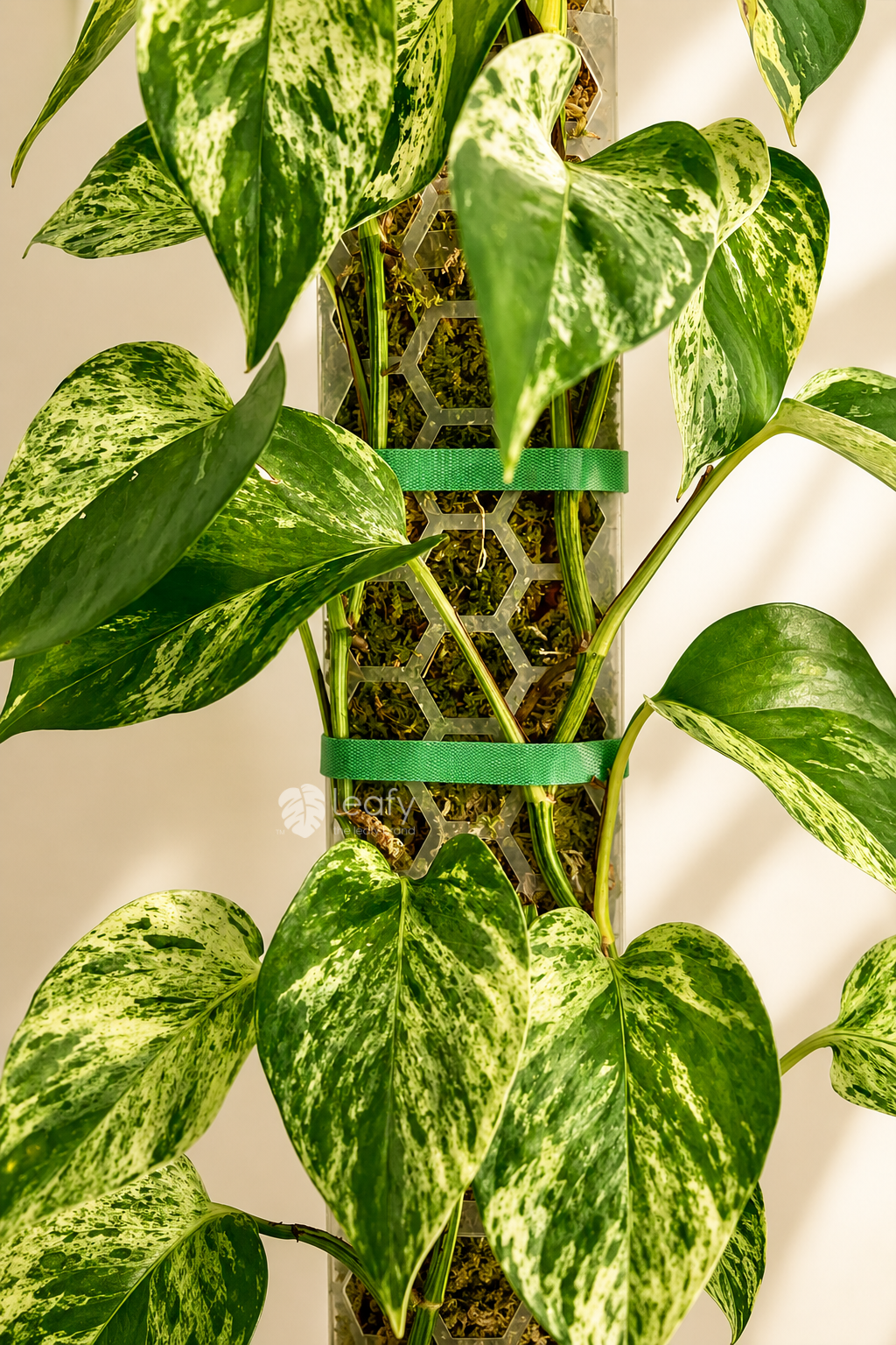 leafy™ Plant Tie