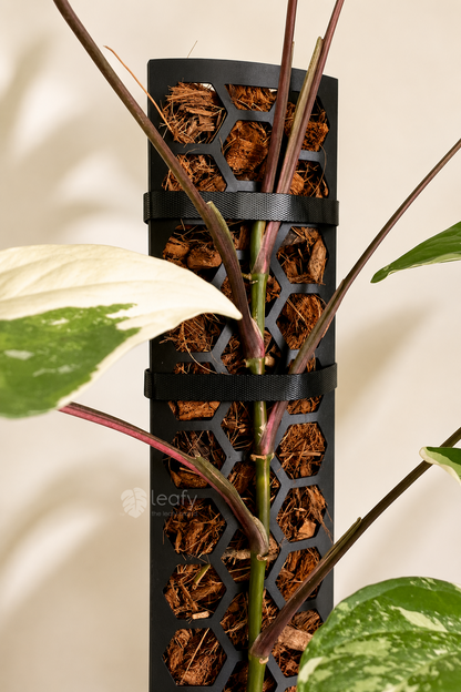 leafy™ Plant Tie