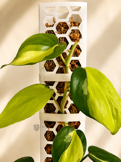 leafy™ Plant Tie
