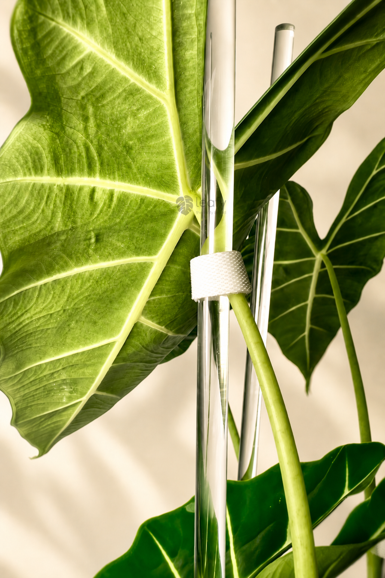leafy™ Plant Tie