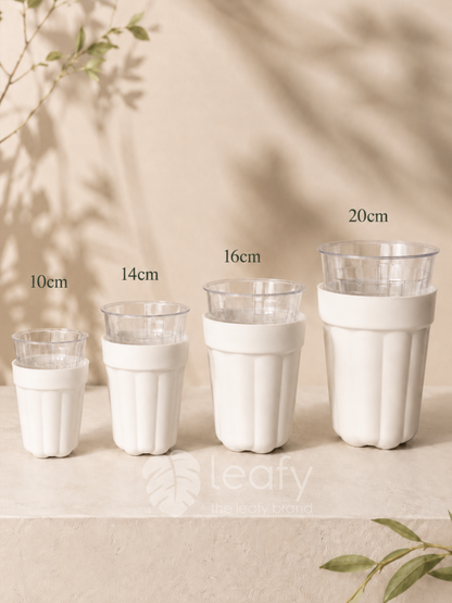 The Ultimate Clear Pot