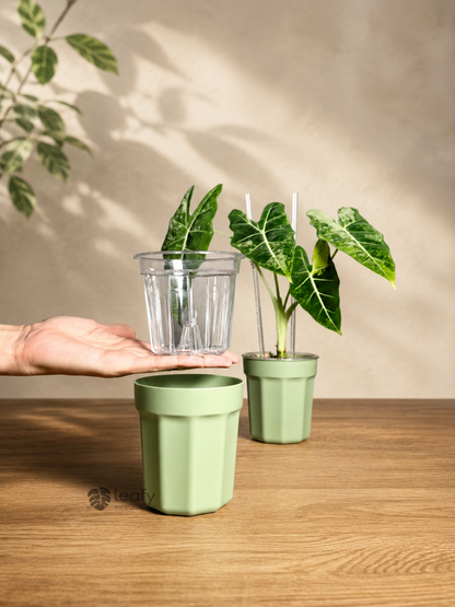 The Ultimate Clear Pot – Type II