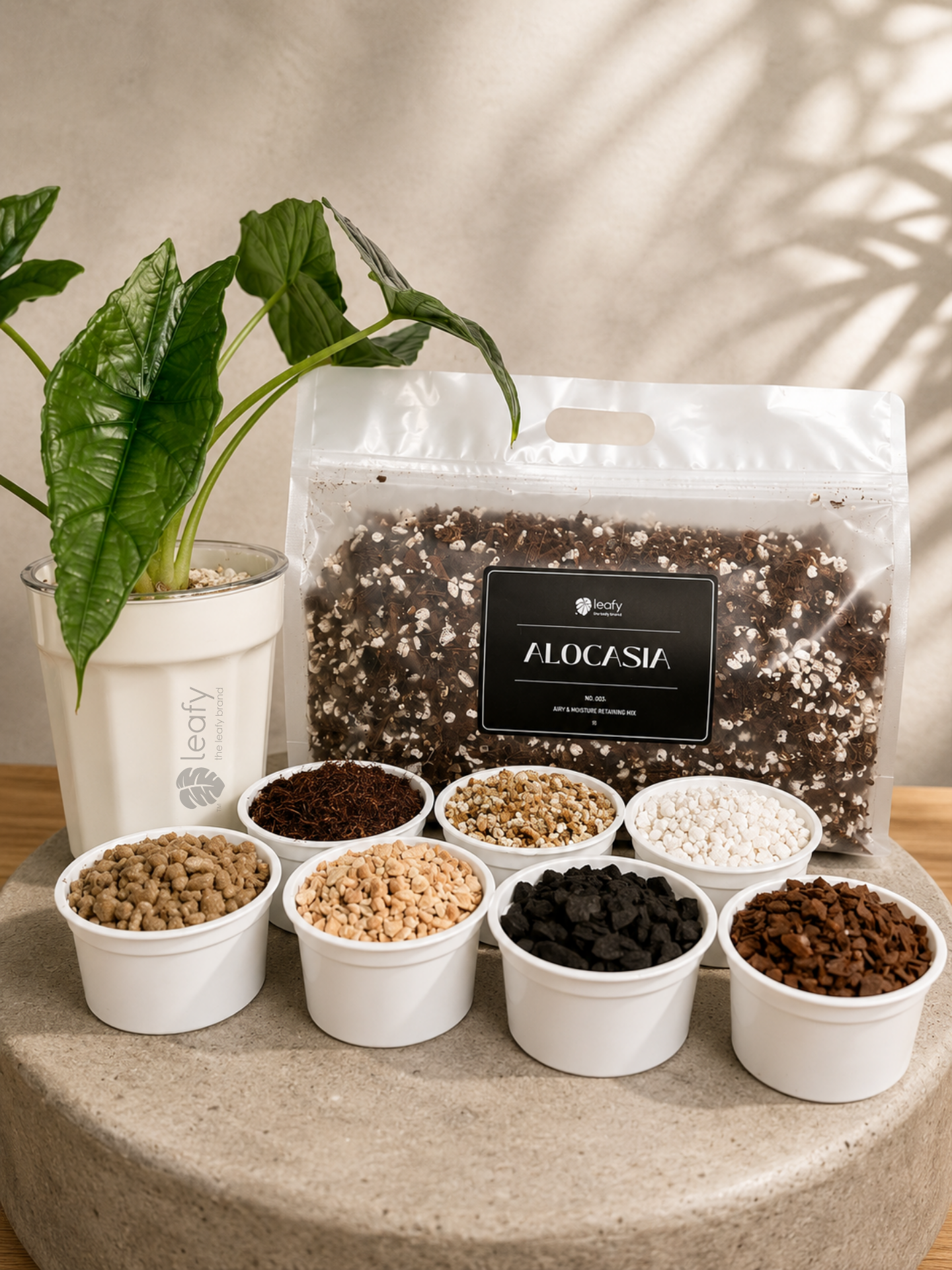 leafy™ Alocasia - 003 Airy & Moisture retaining Mix