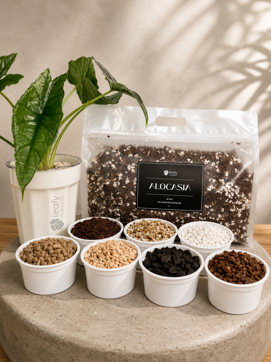 leafy™ Alocasia - 003 Airy & Moisture retaining Mix